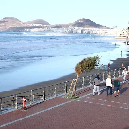 Junto A La Playa Y El Auditorio